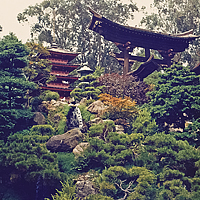 Click for larger view!